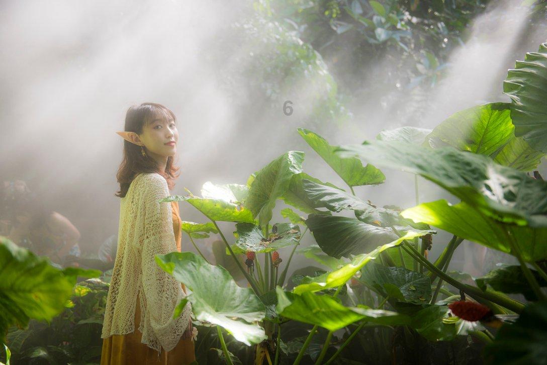缤纷水果茶